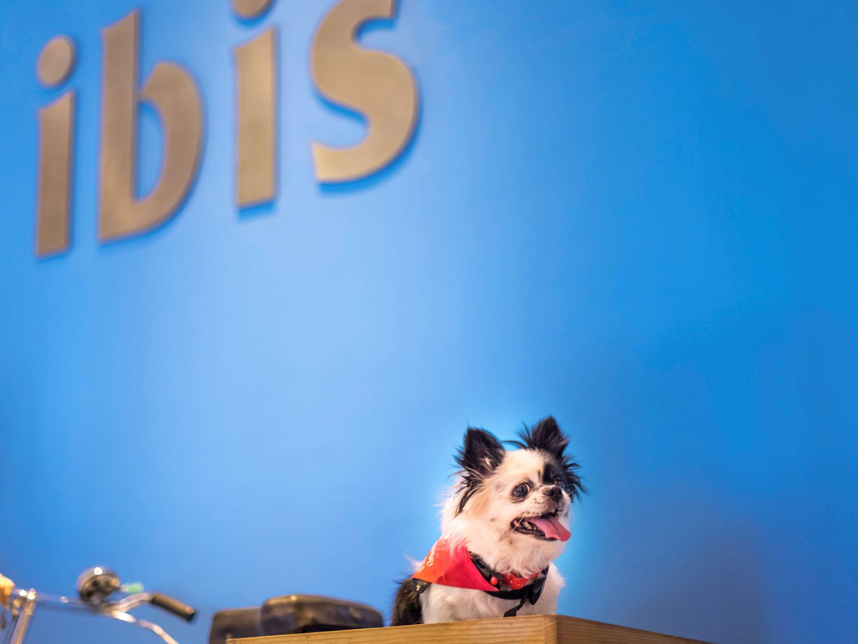 Ibis Bengaluru City Centre - An Accor Brand מראה חיצוני תמונה